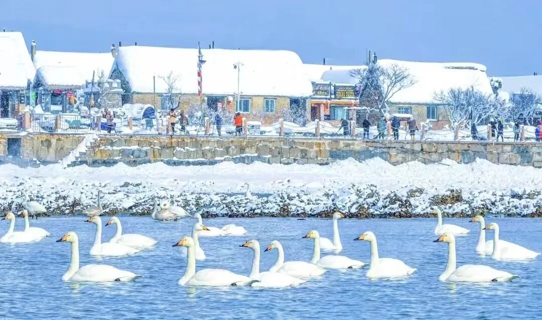 图片来源：荣成文旅