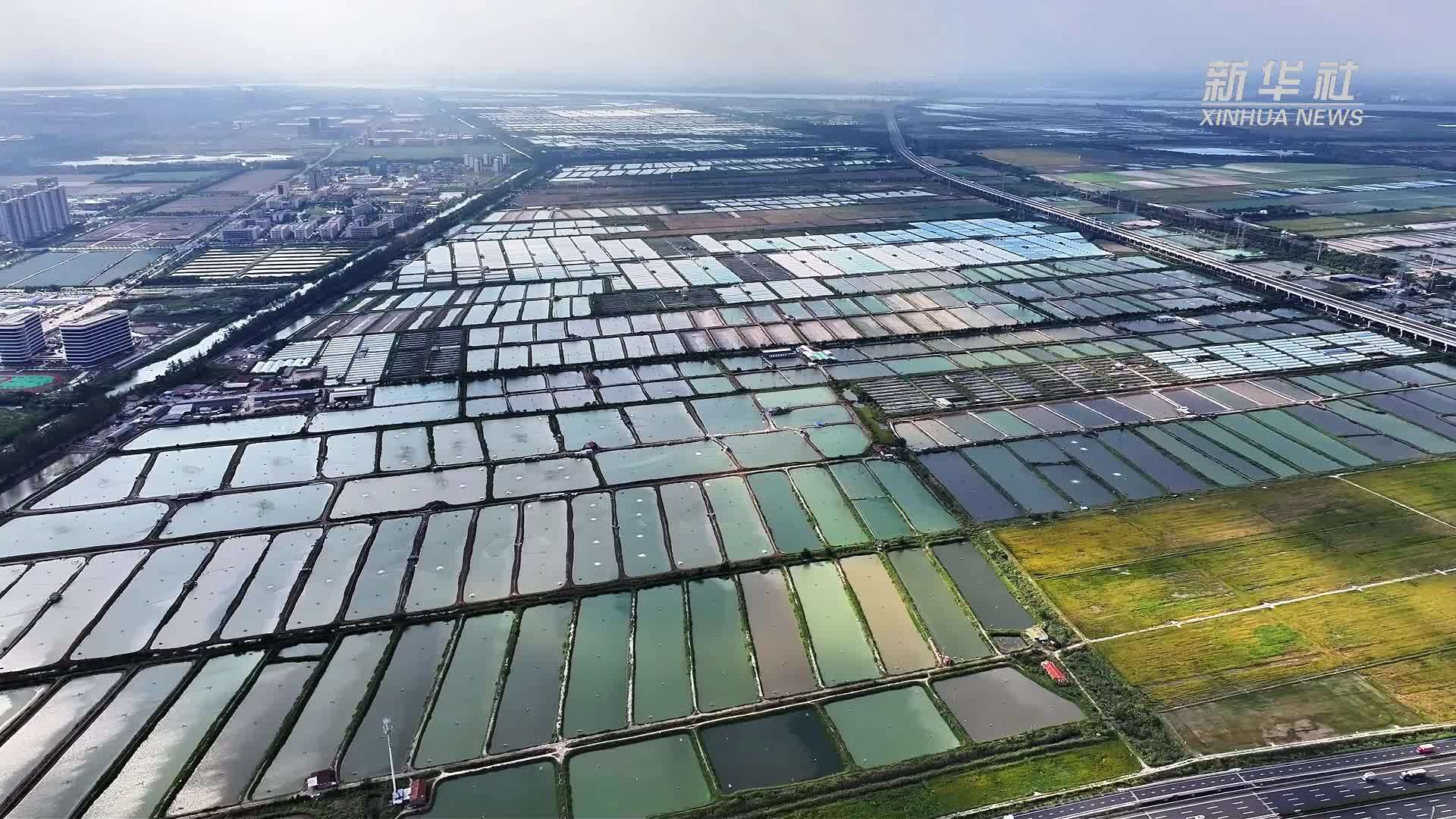 浙江绍兴｜提升农网供电保障 筑牢乡村产业基石