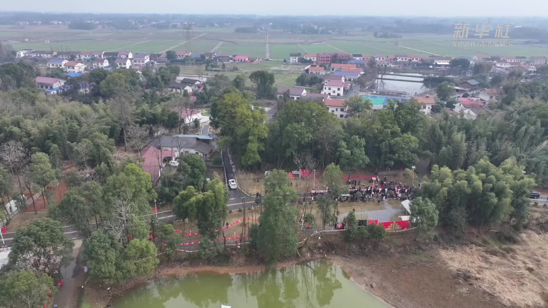 田间农忙 田边农趣：港中坪村的农旅新魅力