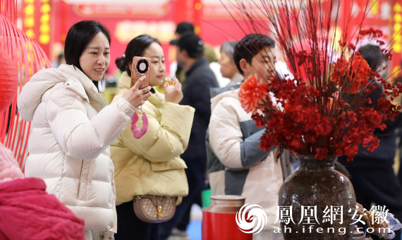 安徽合肥：年货节上人气旺