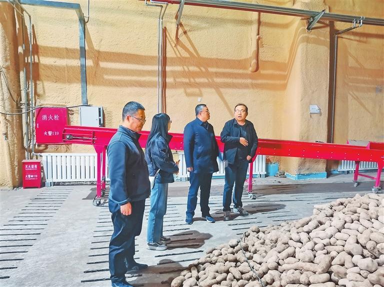 科技团队在马铃薯标准化贮藏窖调研