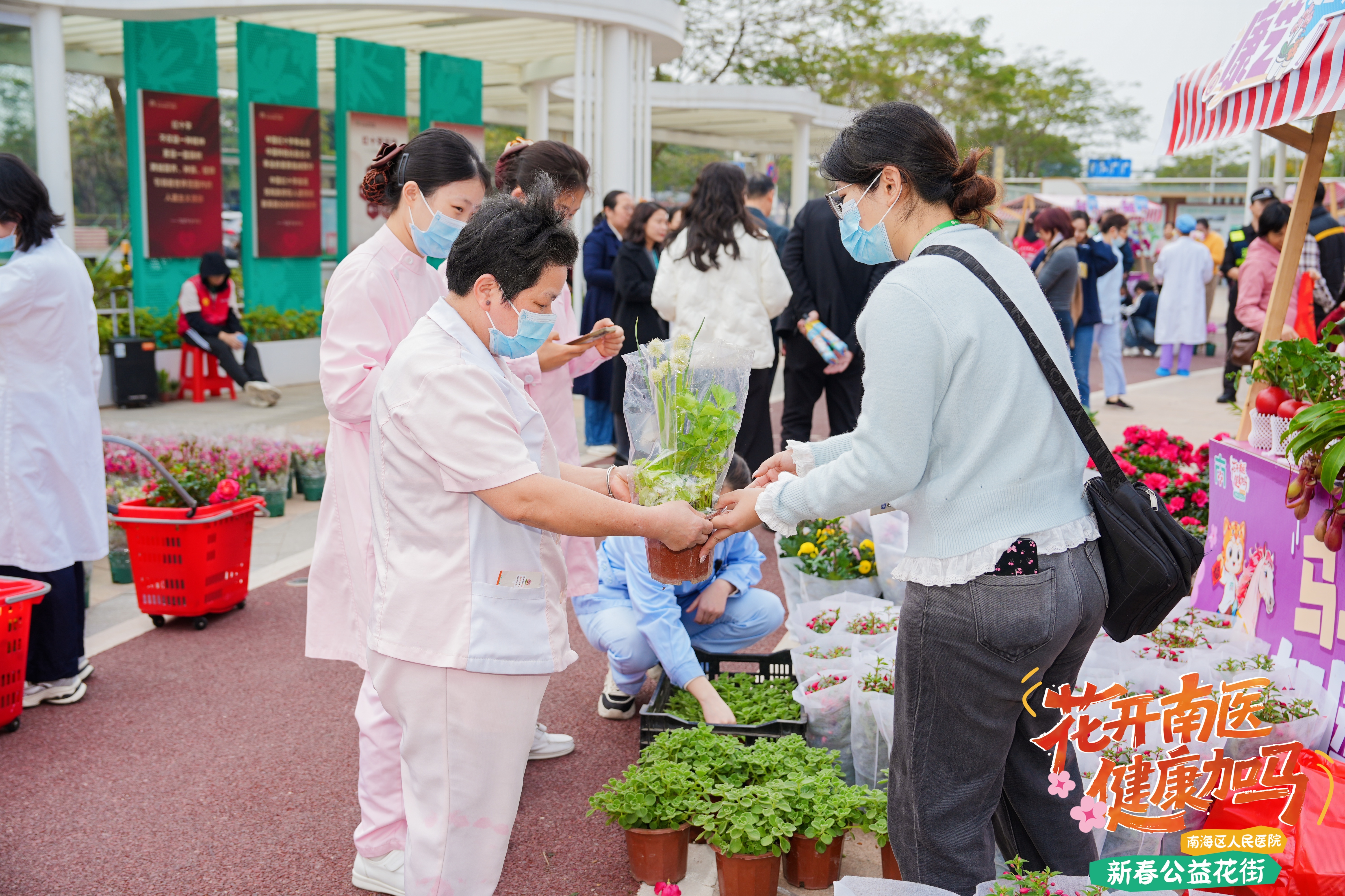广东首次！佛山人把迎春花街开进“公园式”医院