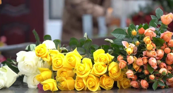 枣庄：春节将至 “花卉经济” 不断升温