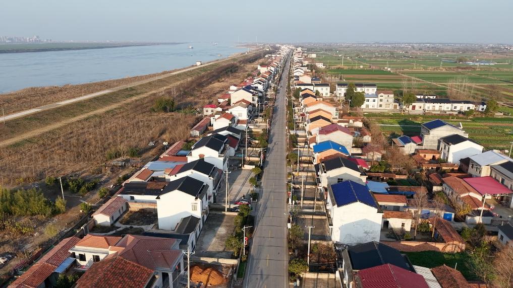 这是位于长江沿岸的湖南省临湘市江南镇长江村（无人机照片）。新华社记者丁春雨 摄