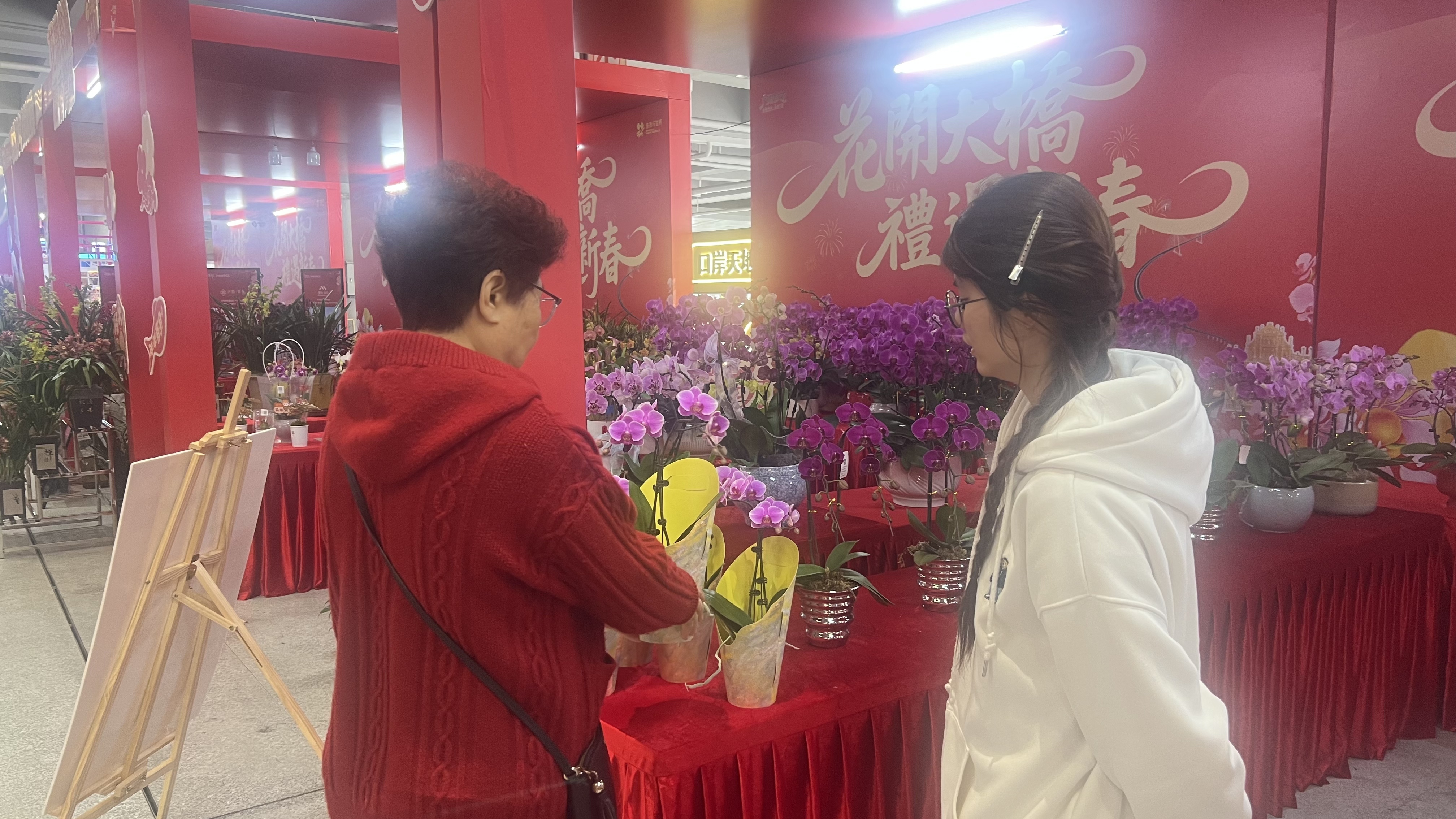 香飘湾区 2026粤港澳海上花市年味正浓