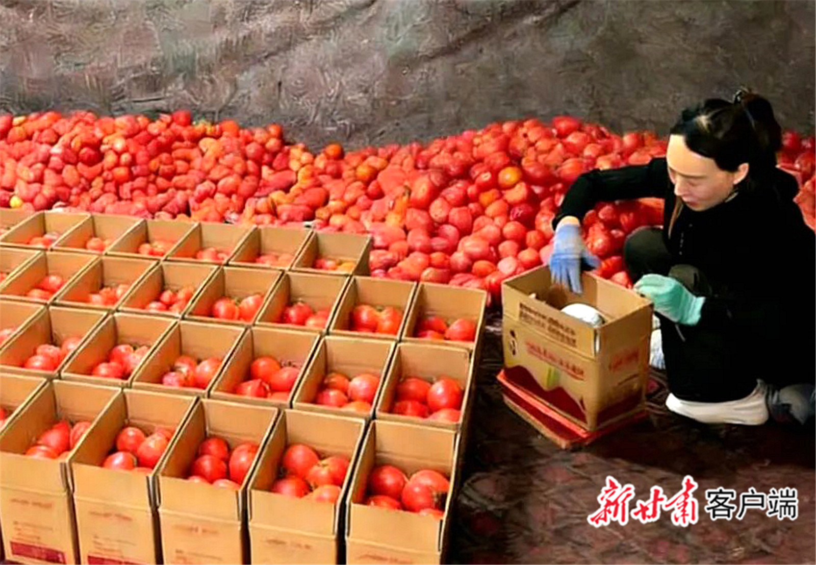 工人在分拣装箱