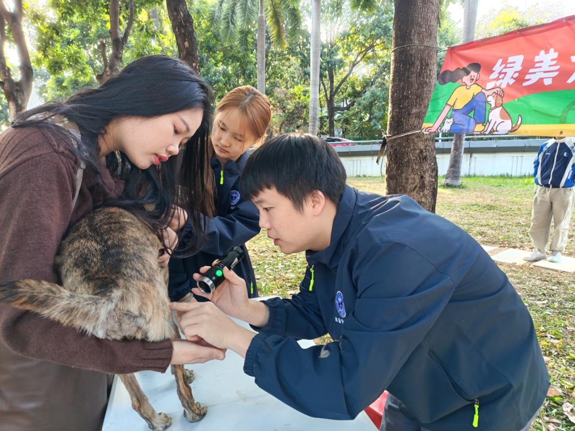 龙腾社区打造绿美低碳共生园 擦亮幸福社区新名片