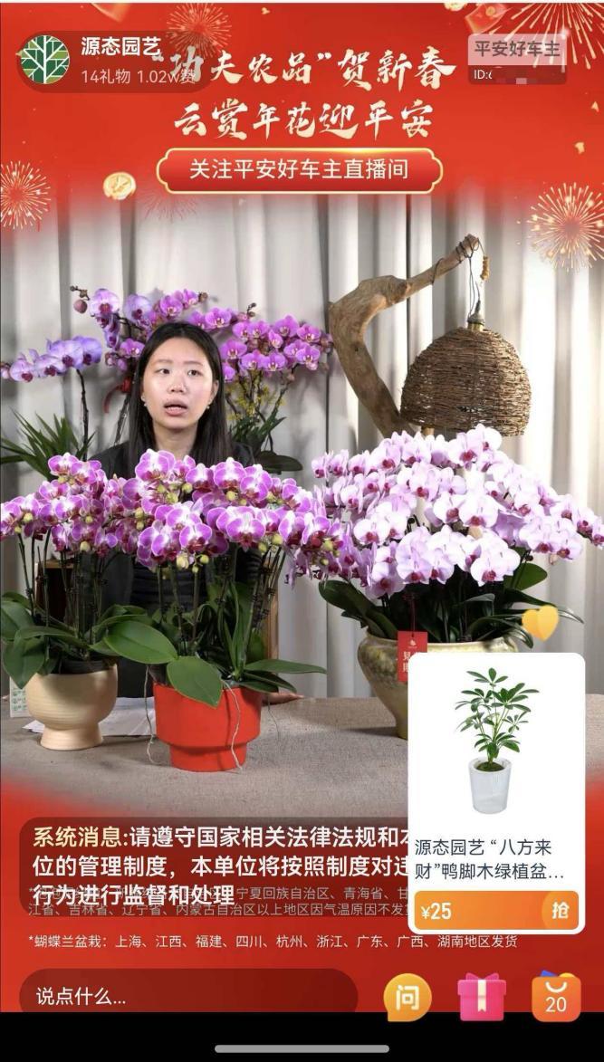 平安产险佛山分公司携手“功夫农品”迎新春,以金融赋能助力乡村振兴