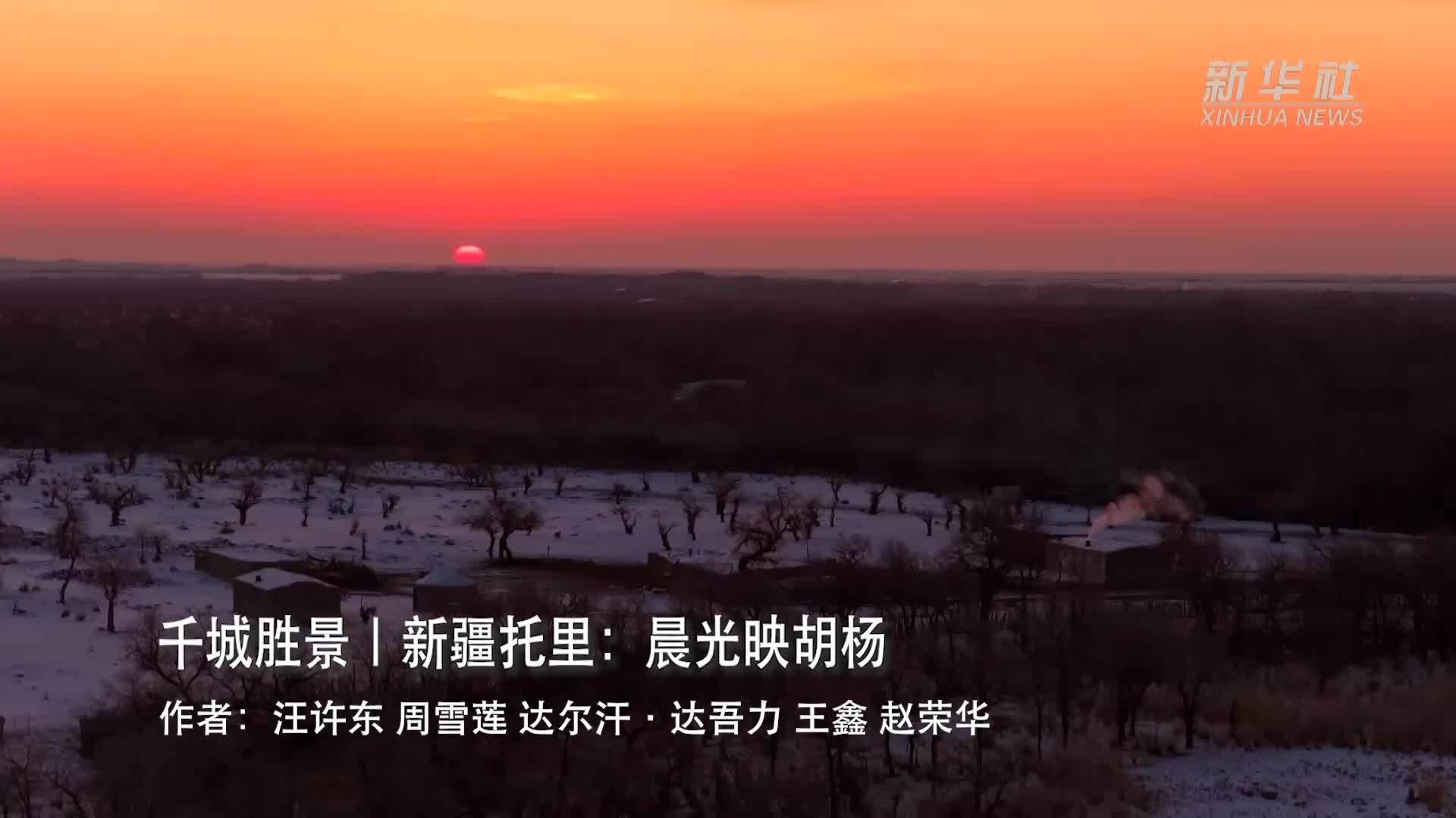 千城胜景｜新疆托里：晨光映胡杨