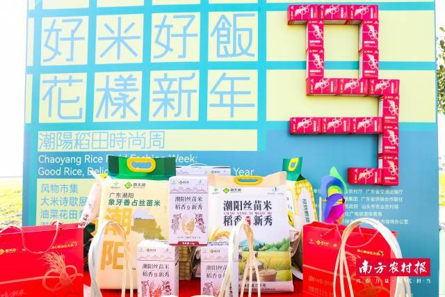 潮阳丝苗,稻香新秀。