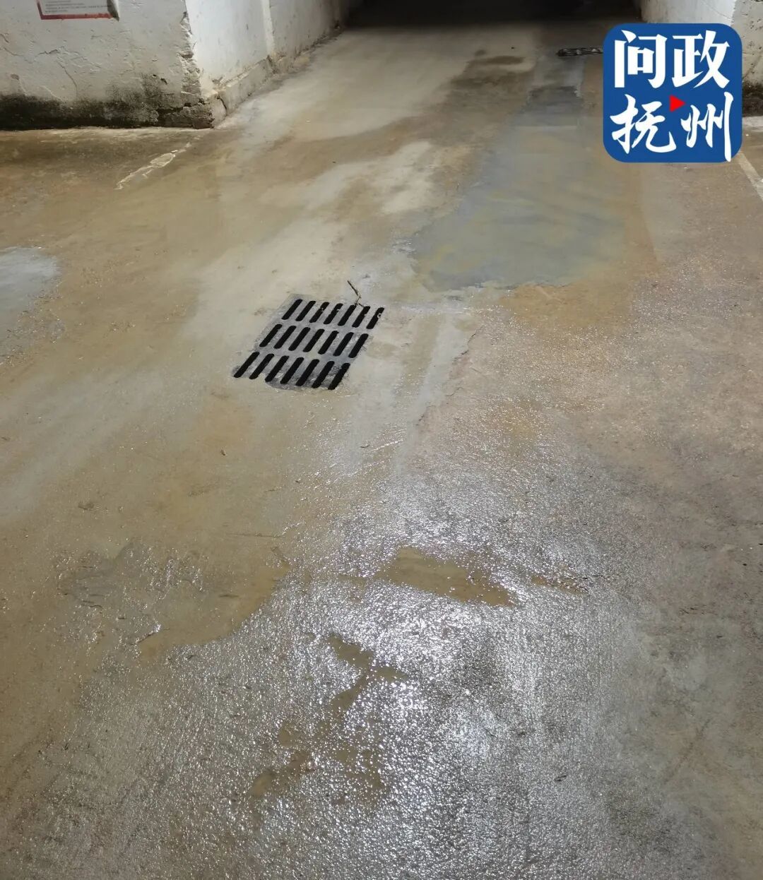 ▲图片由网友提供