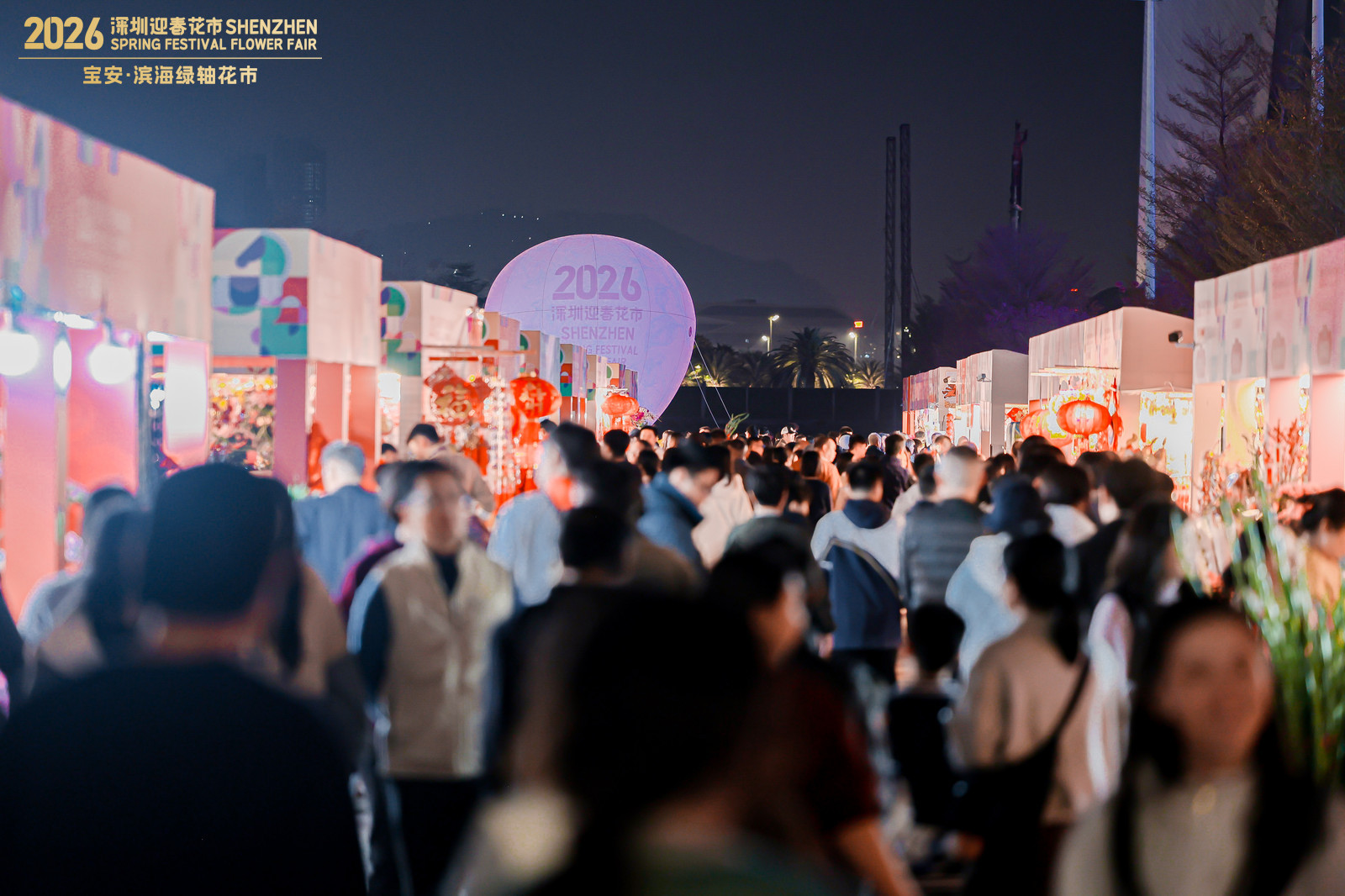 2026年宝安迎春花市开市啦!