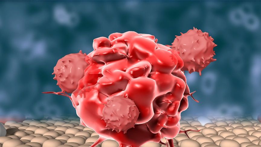 癌细胞，竟然会偷走免疫细胞的能量？|凤凰大健康