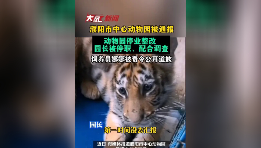 河南濮阳市中心动物园被通报责令停业整改 园长被停职、配合调查 饲养员张某某被责令公开道歉