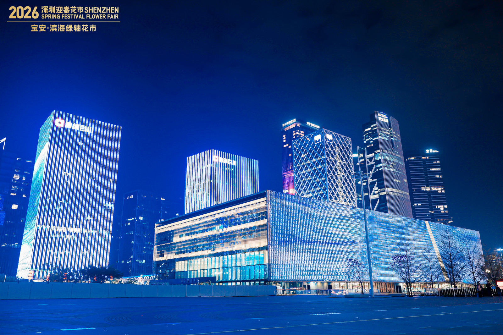 2026年宝安迎春花市开市啦！