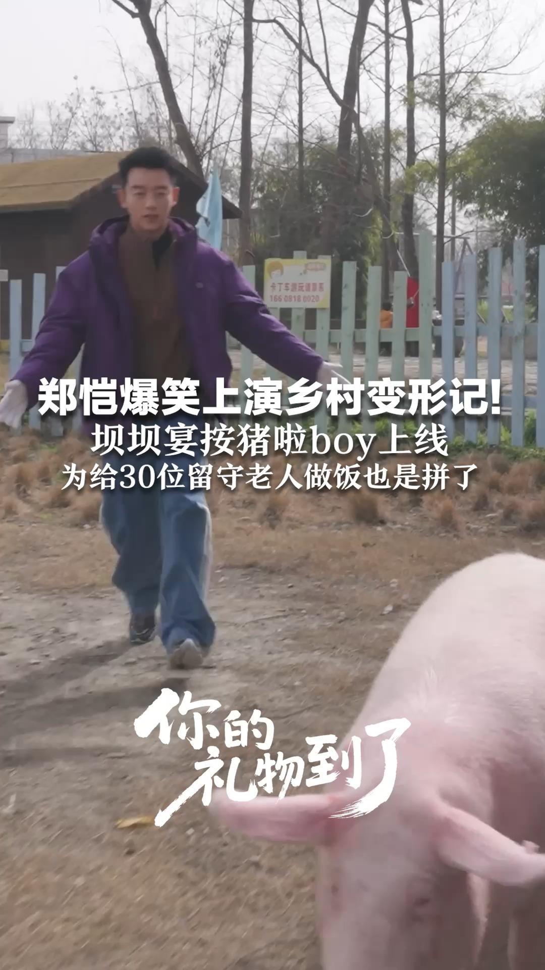 郑恺爆笑上演乡村变形记！坝坝宴按猪啦boy上线：小猪前一秒岁月静好，下一秒全场乱跑 为给30位留守老人做饭也是拼了