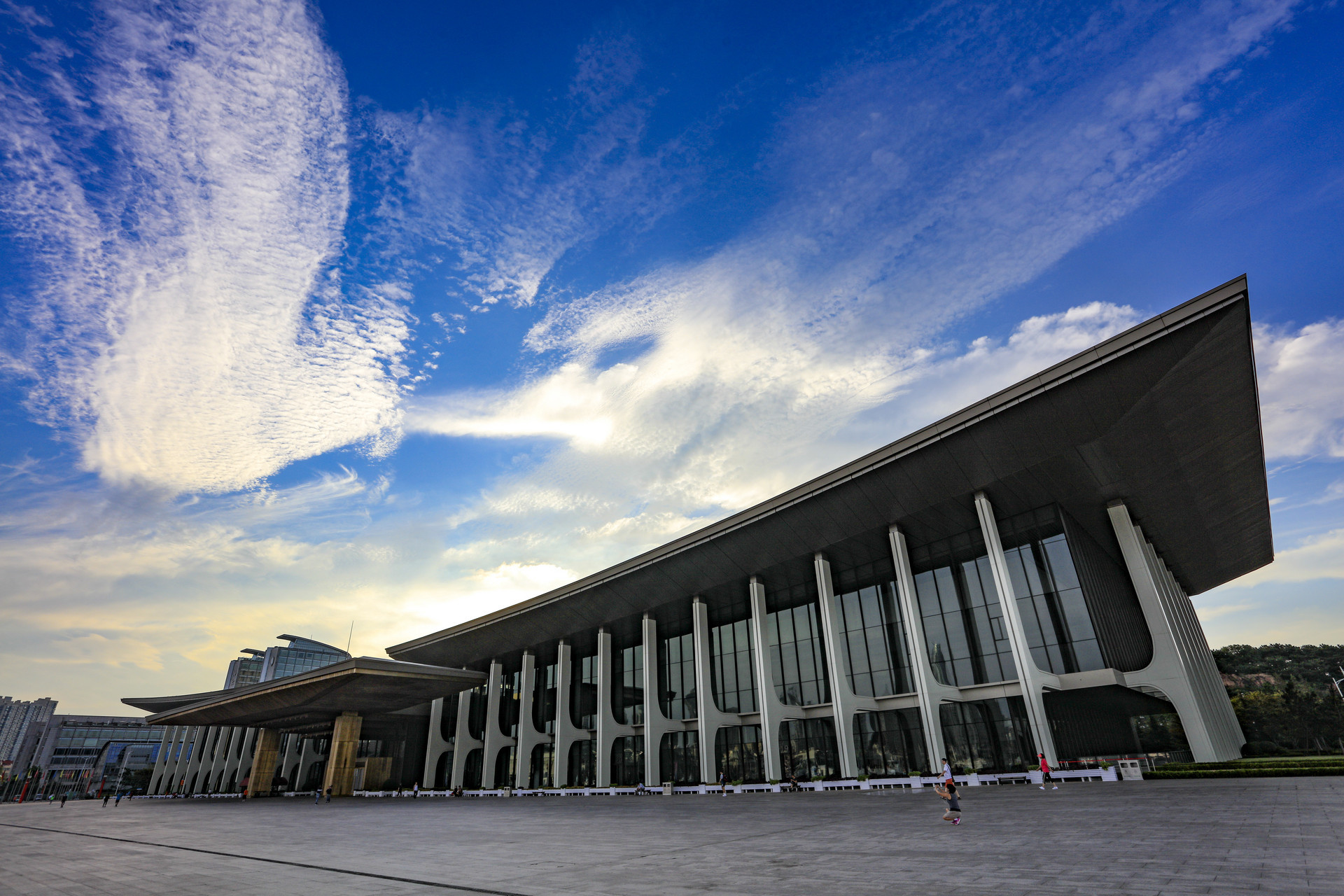 @属马的朋友，青岛这11家景区景点免费去