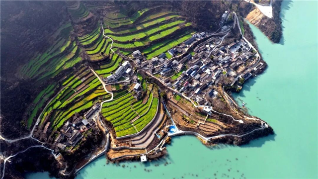 甘肃第一春：文县第一抹油菜花　与冰瀑共舞