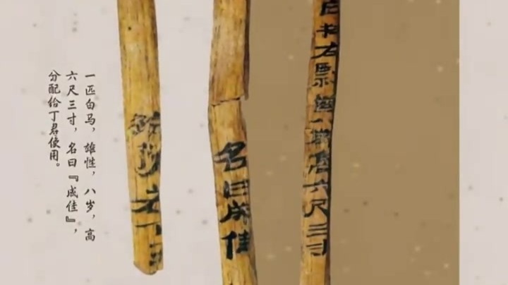 “陇”马精神，说说甘肃最有名的马丨汗马青简　使命如烽