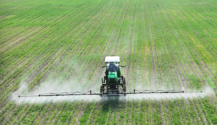 粮仓蝶变!睢宁用科技兴农破解“提质密码”