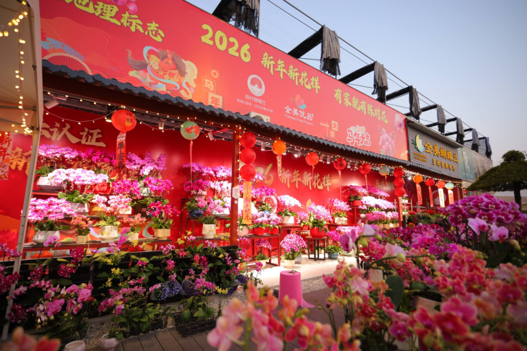 平安产险佛山分公司携手“功夫农品”迎新春,以金融赋能助力乡村振兴