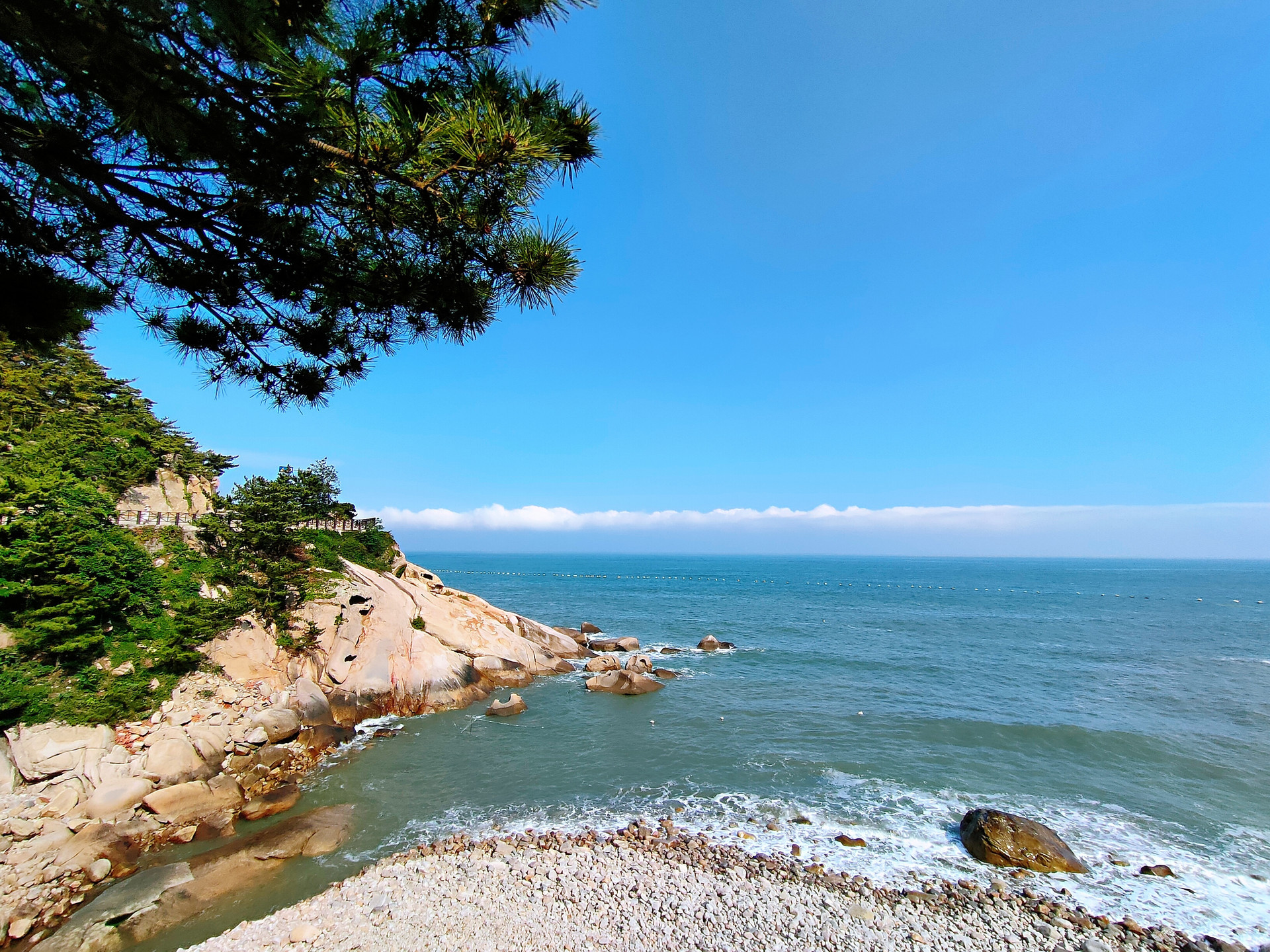 @属马的朋友，青岛这11家景区景点免费去