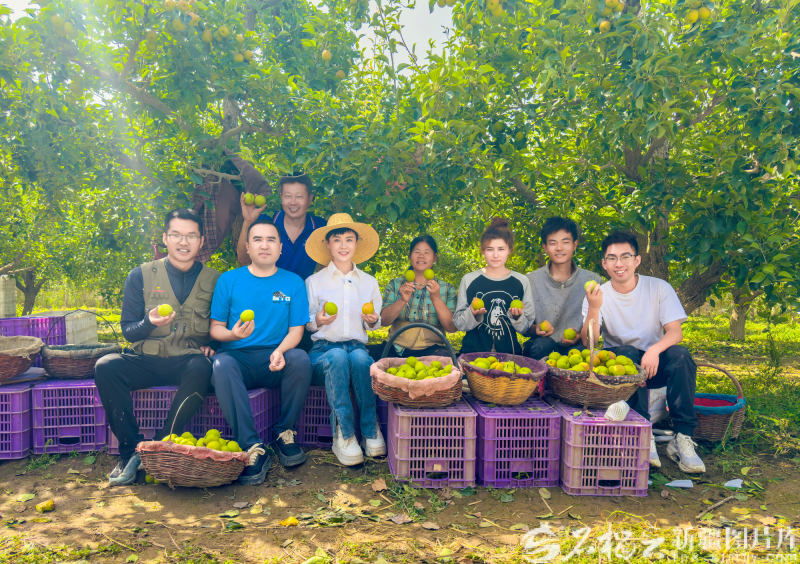 2024年9月，贺娇龙（前排左三）在库尔勒市一处香梨园和果农一起拍宣传片。资料图片