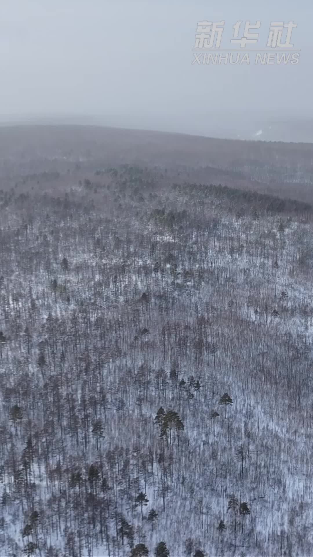 中国之城｜黑龙江漠河：中国最北城市的极致浪漫