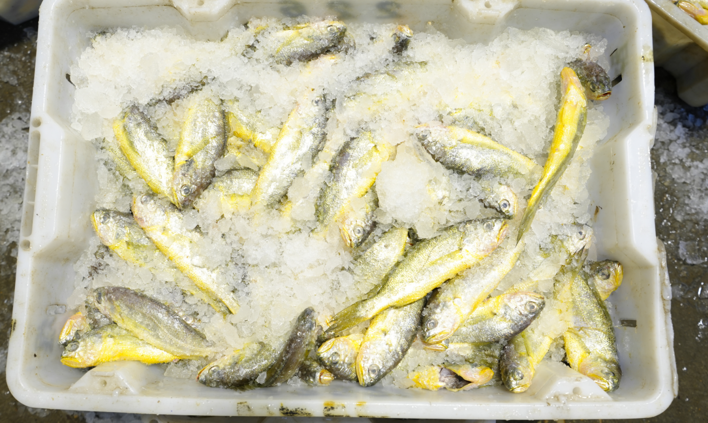 给你家的年夜饭添道“南通鲜”：年味渐浓 “鲜”机勃勃