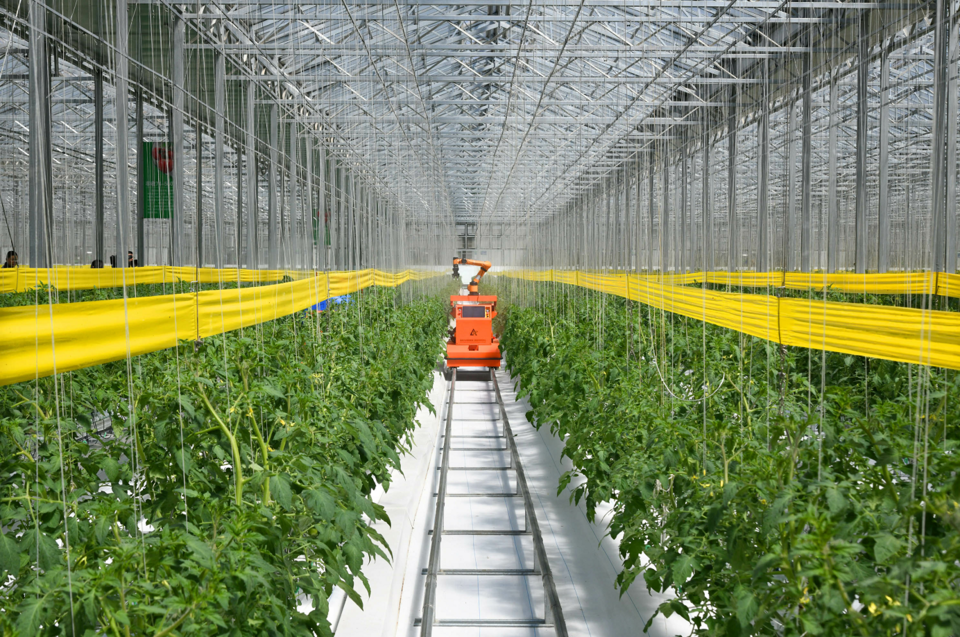 （图源：公众号“文明潍坊”）