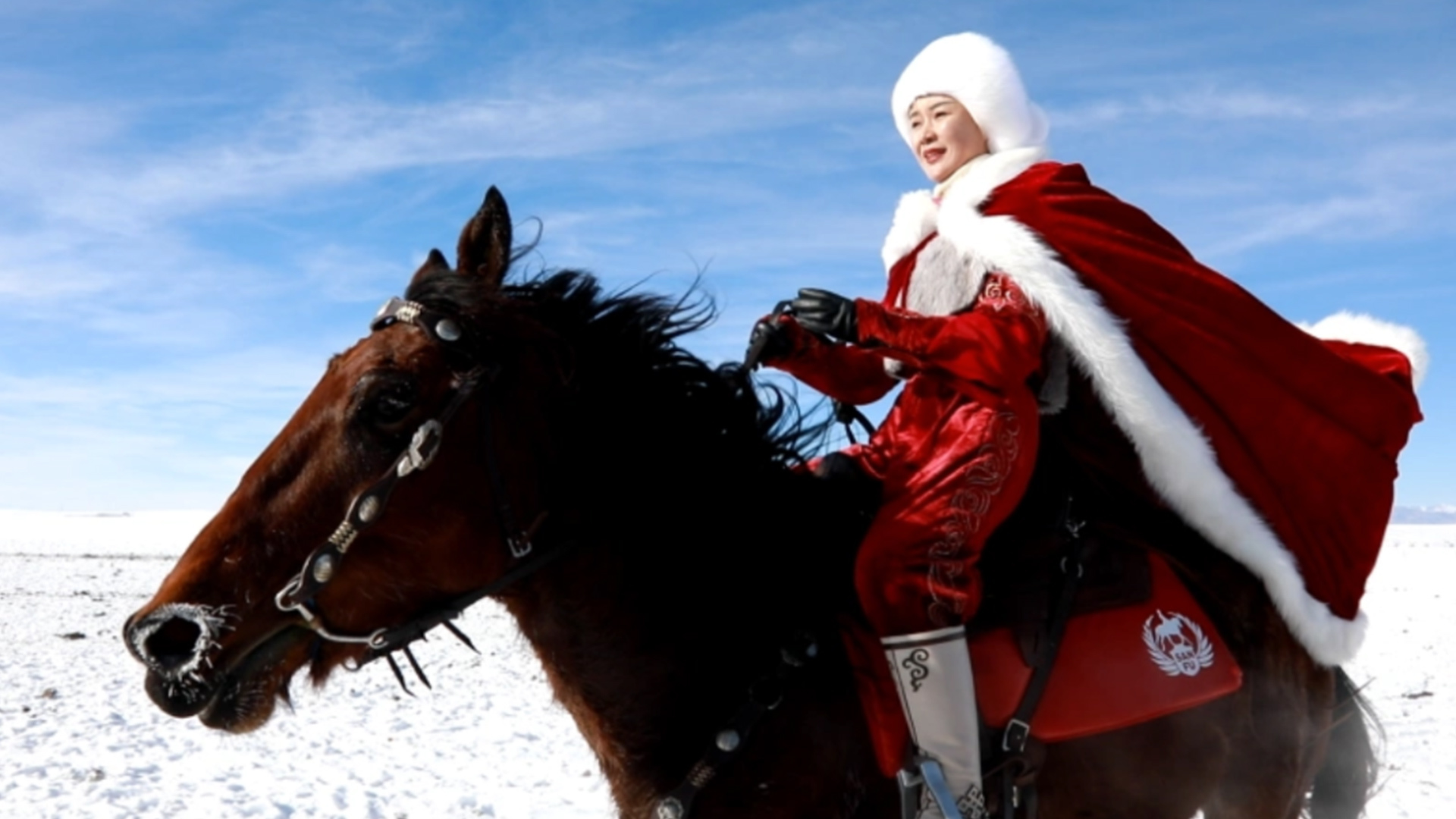 贺娇龙受伤救治细节公布：意外坠马后曾自己坐起，意识清醒，抢救前还在安排工作，最终确诊重度颅脑损伤