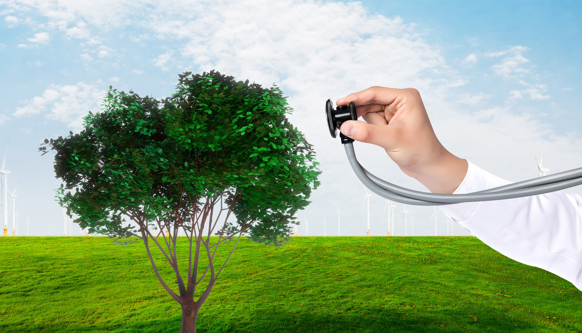 围绕四大核心板块 市北区未成年人心理健康活动开讲