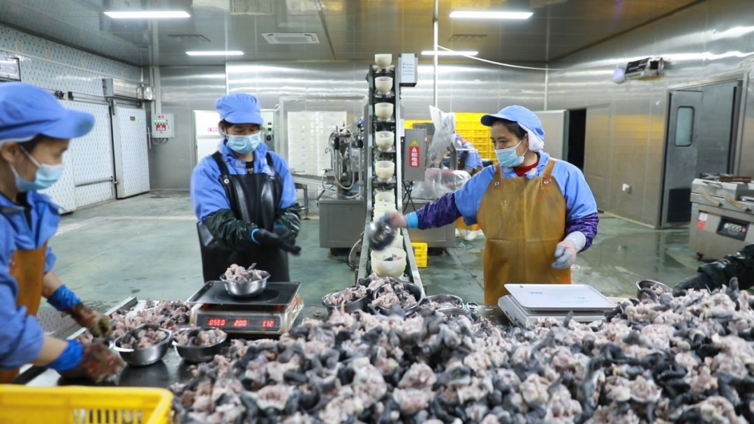 南丰甲鱼“玩”出新花样：变零食、做美妆、销全国