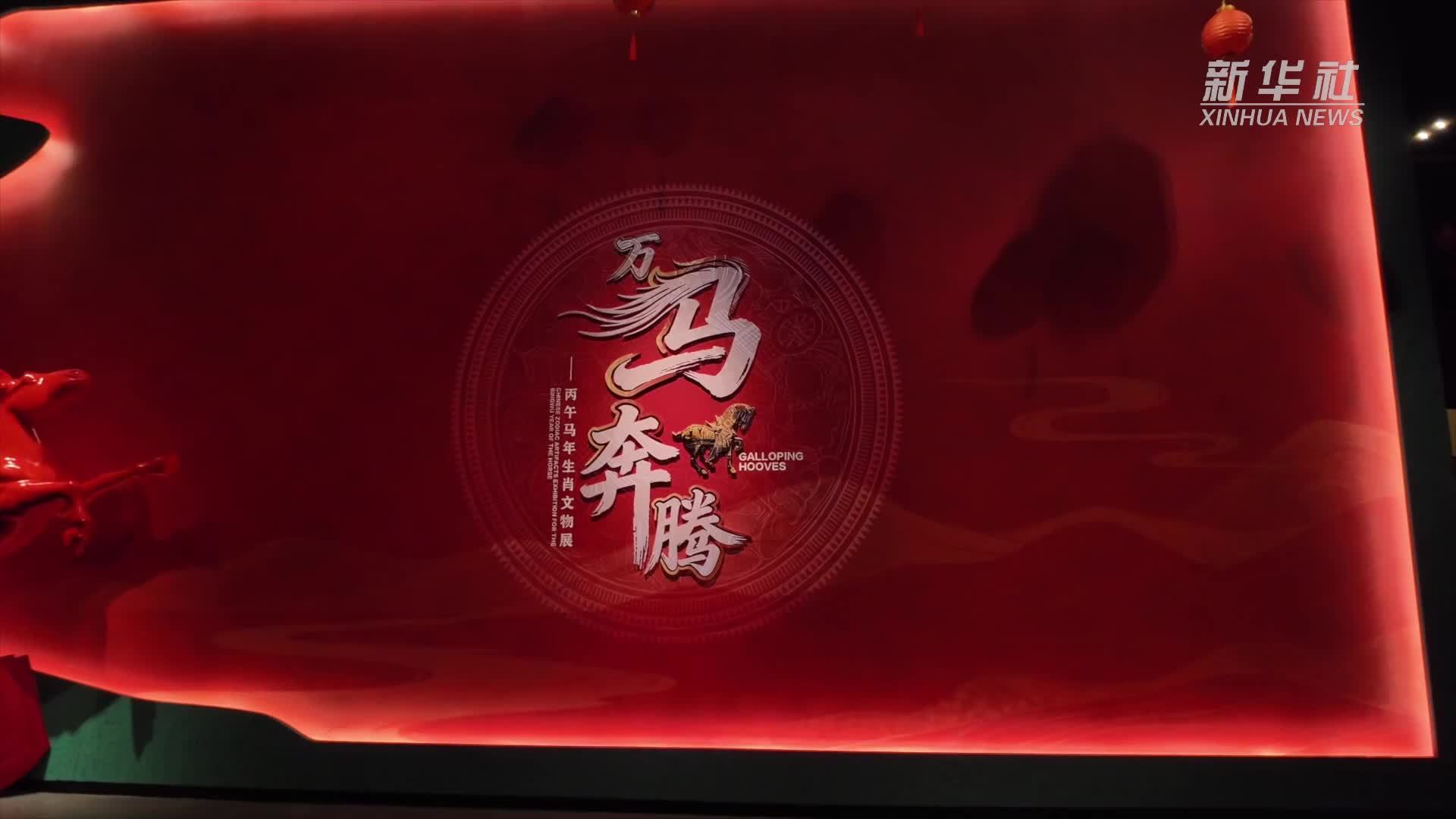 辽博马年生肖展启幕  百余文物诠释马文化