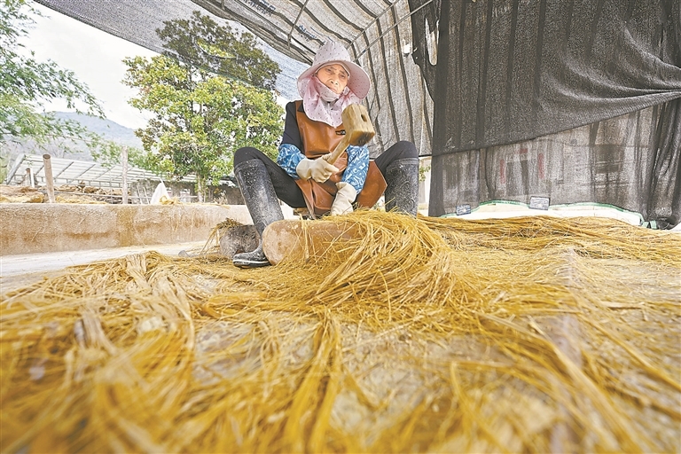 1月16日，铅山县陈坊乡翁溪村一连四纸研学体验基地，工人正在槌竹丝。