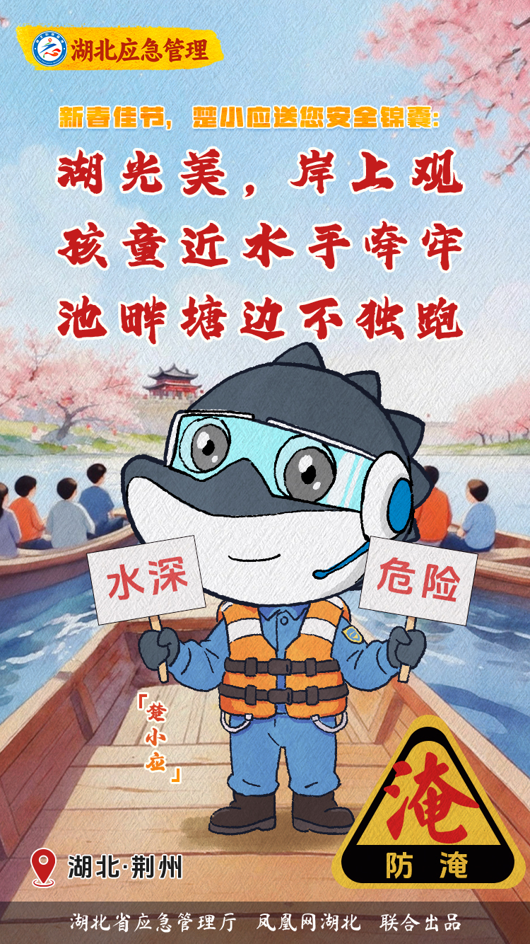 海报 | 新春佳节到 楚小应送您六大安全锦囊！