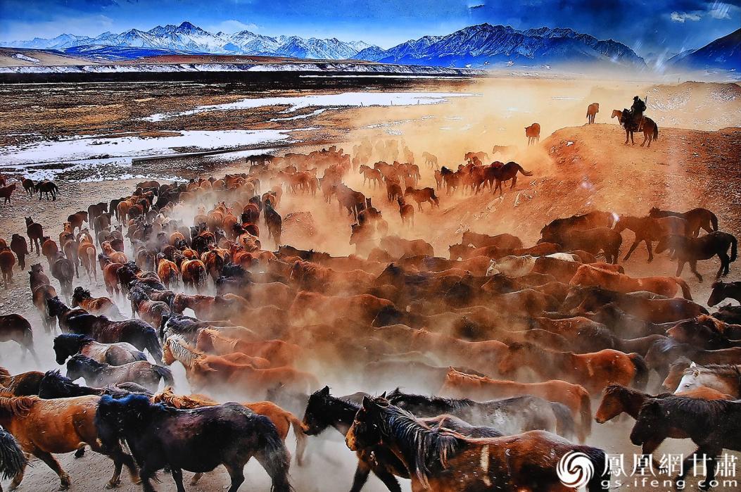参展摄影作品《马踏祁连雪》定格万马奔腾壮观画面　吴开春　摄
