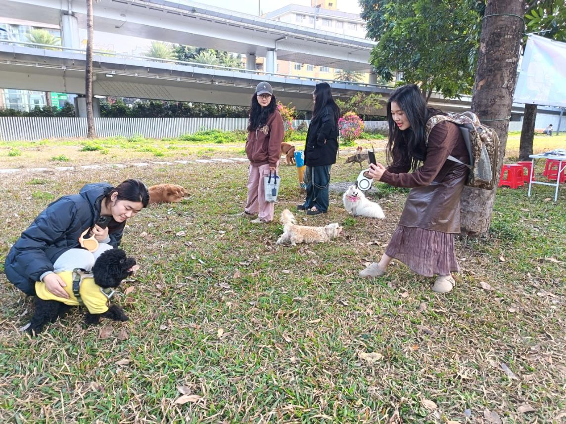 龙腾社区打造绿美低碳共生园 擦亮幸福社区新名片