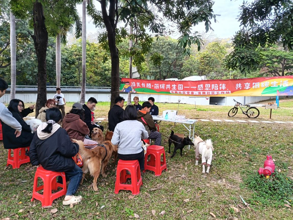 龙腾社区打造绿美低碳共生园 擦亮幸福社区新名片