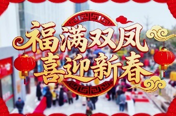 安徽长丰（双凤）经开区：寻年味、享年趣、购年货，“马”上把福气带回家！