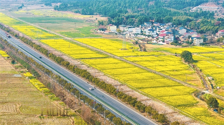 峡江县：春日田园画卷（图）