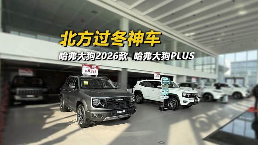 北方过冬神车 哈弗大狗2026款 哈弗大狗PLUS