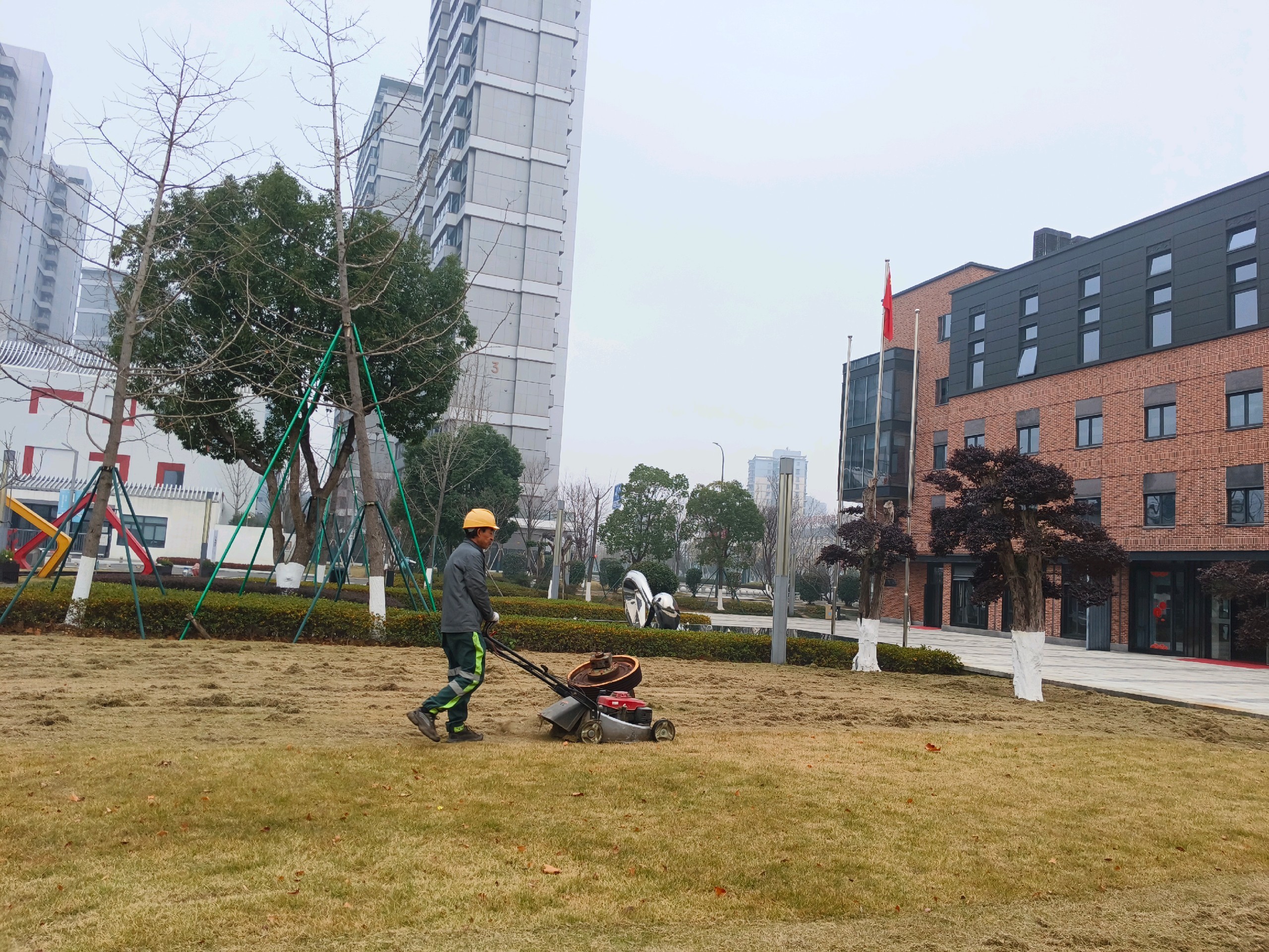 开展“年关守护”专项行动，筑牢市政绿化安全防线