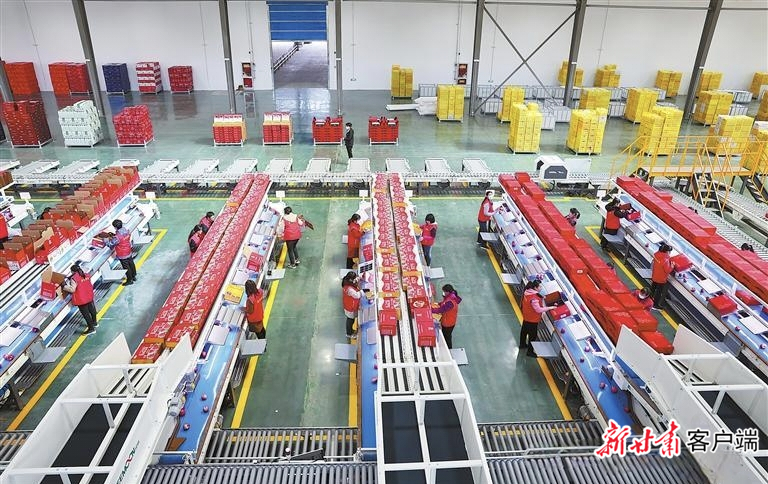 苹果产业在转型升级中迈出了新步伐