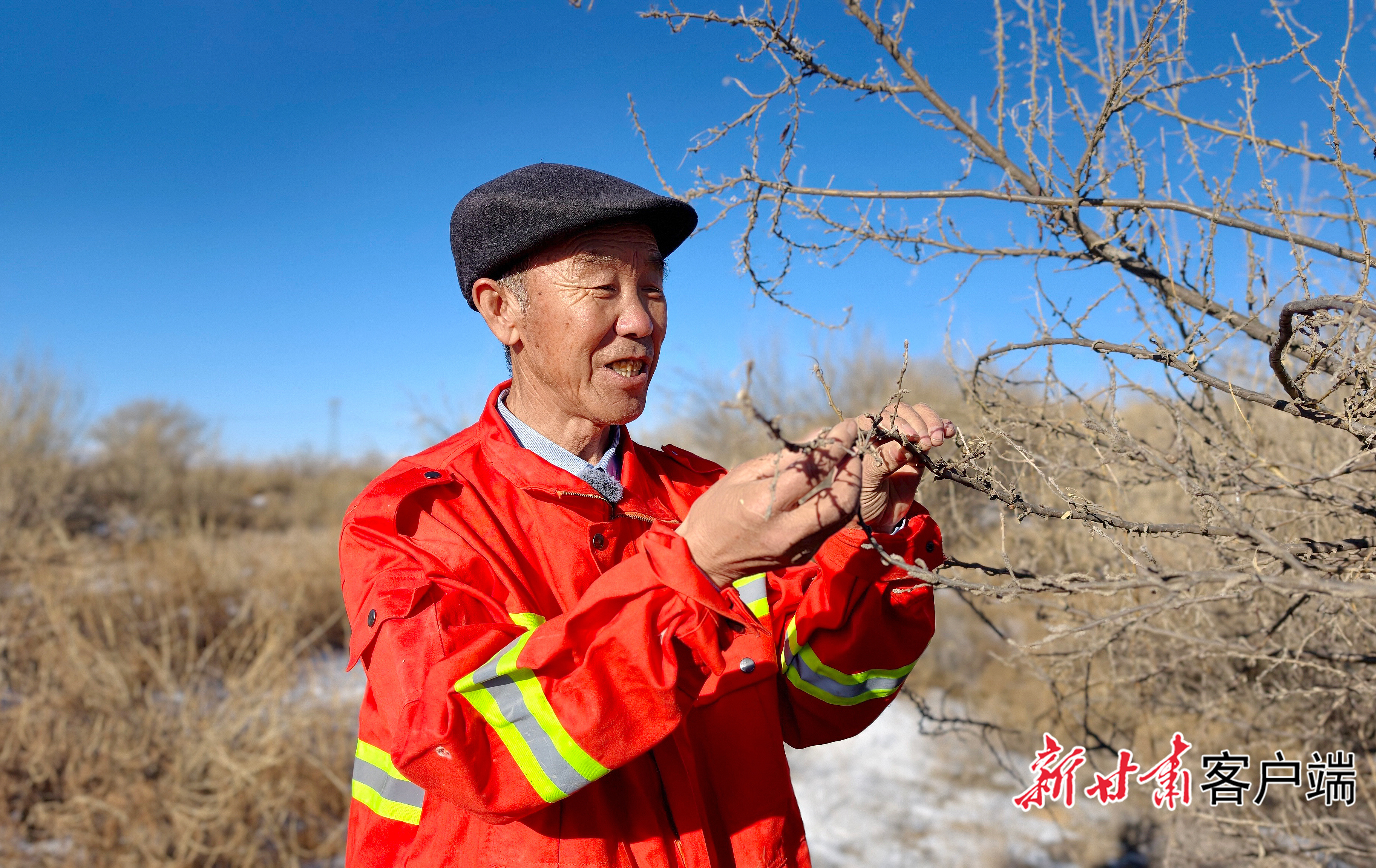 郭万刚查看沙生植物状况