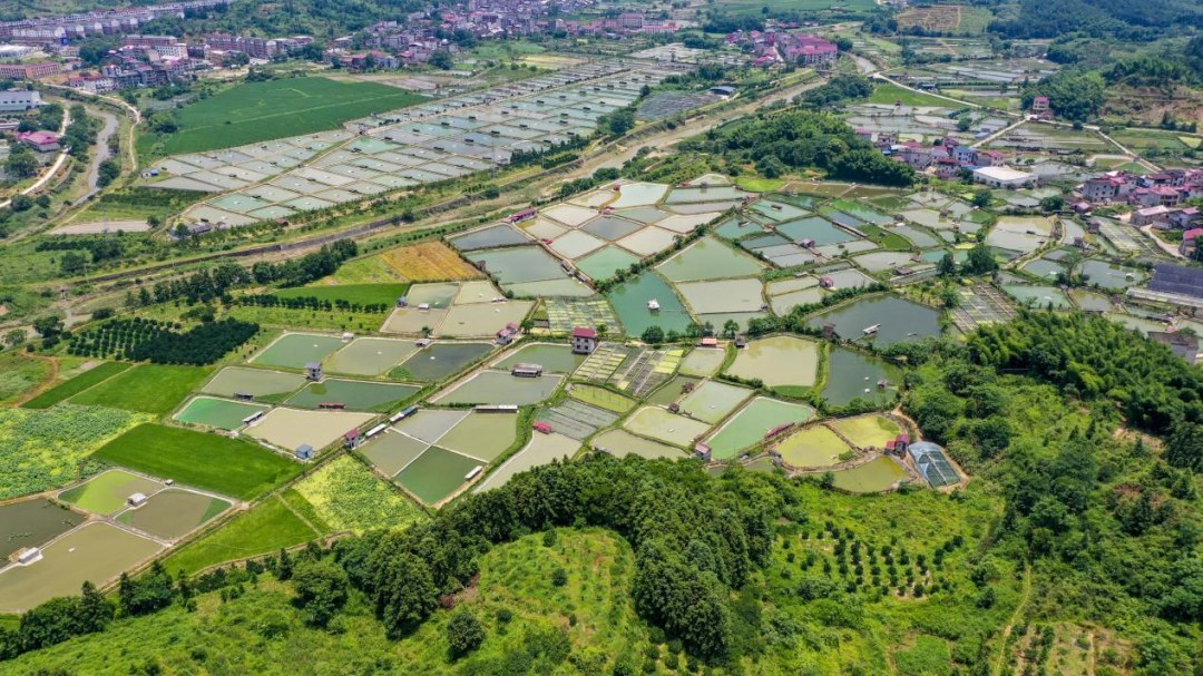 南丰甲鱼“玩”出新花样：变零食、做美妆、销全国