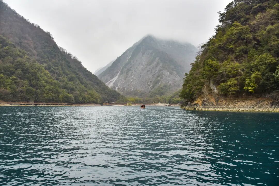 图源：王永进　拍摄