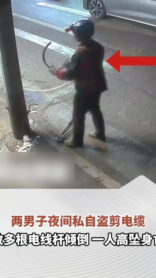 两男子夜间私自盗剪电缆致多根电线杆倾倒，一人高坠身亡，警方通报：另一人系供电公司员工，已刑拘