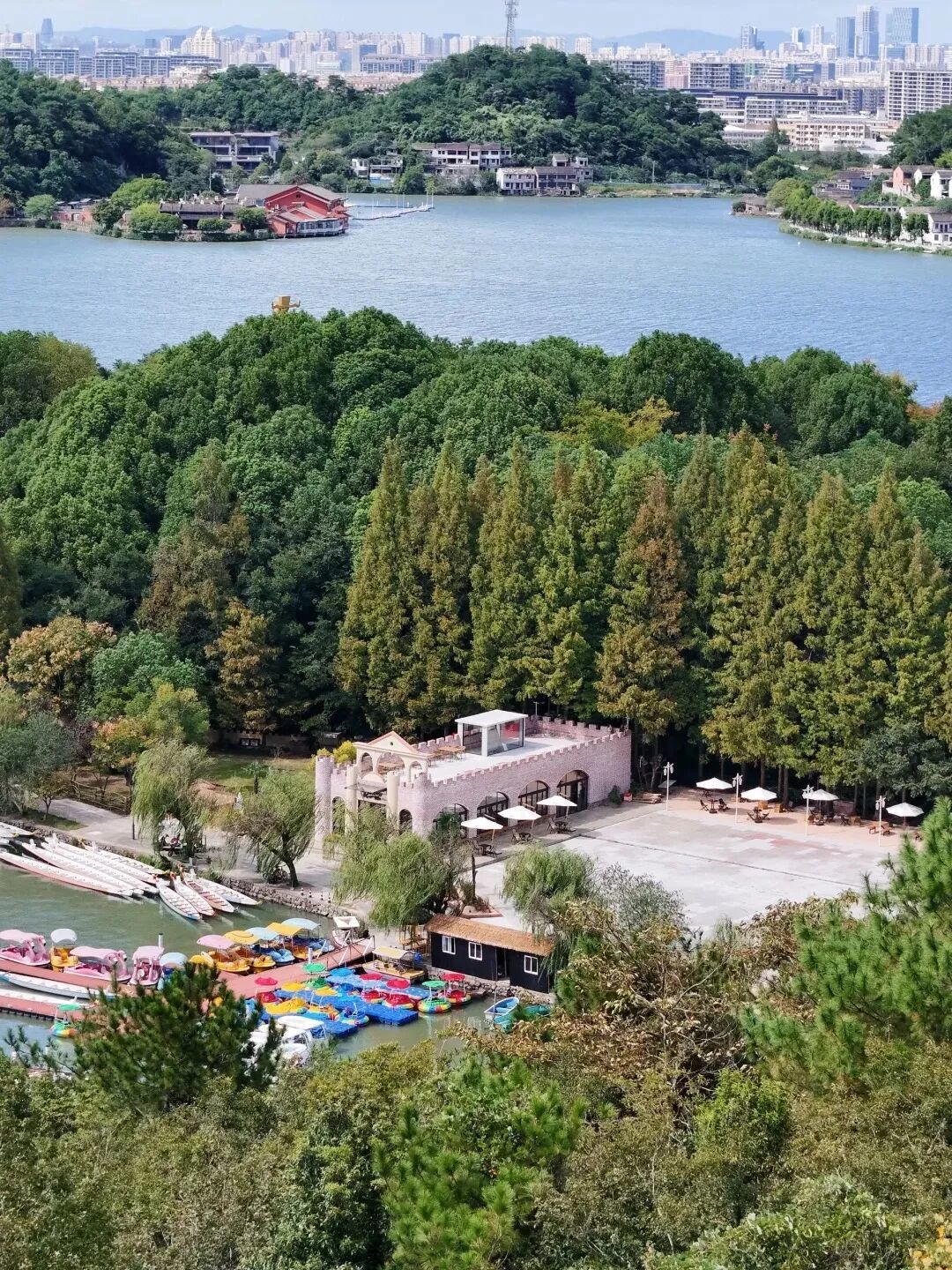 大大去哪儿 (4).jpg