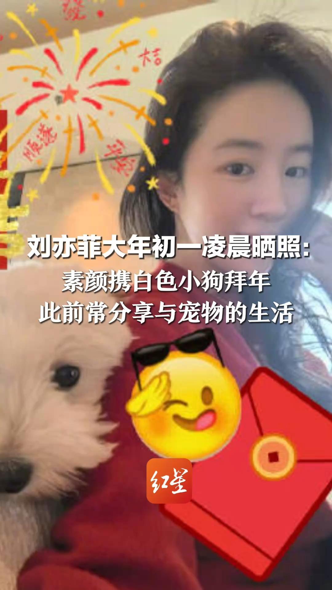 刘亦菲大年初一凌晨晒照：素颜携白色小狗拜年 此前常分享与宠物的生活 还和母亲将家中后院改成流浪猫救助站